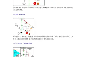  新手教练如何选择合适的篮球战术板：全面指南与实用建议